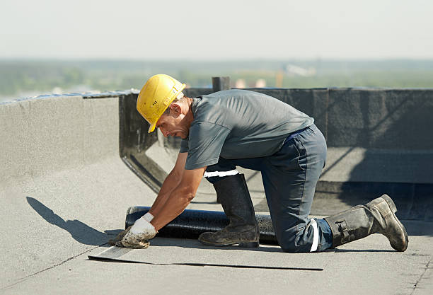 Best Insulation Removal  in Orange, OH