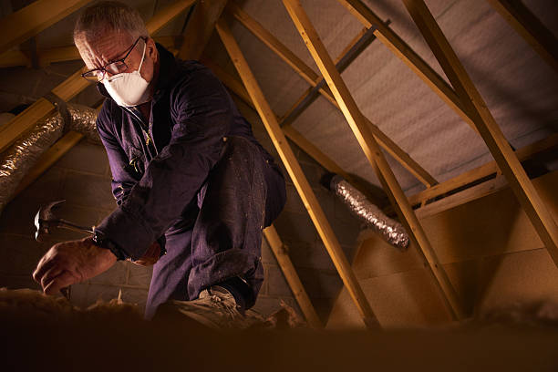 Best Fiberglass Insulation  in Orange, OH
